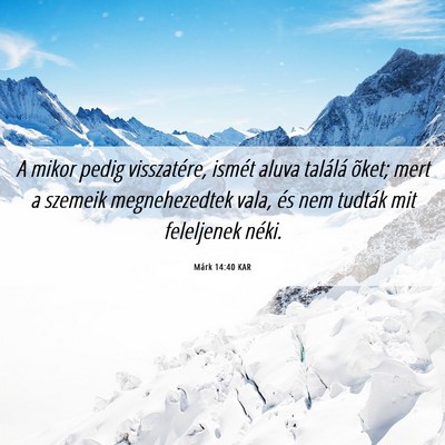 Picture 06 - Márk 14:40 KAR - A mikor pedig visszatére, ismét aluva találá - Bible Verse Picture