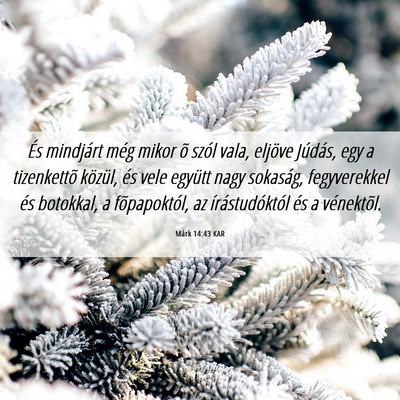 Picture 06 - Márk 14:43 KAR - És mindjárt még mikor õ szól vala, eljöve - Bible Verse Picture