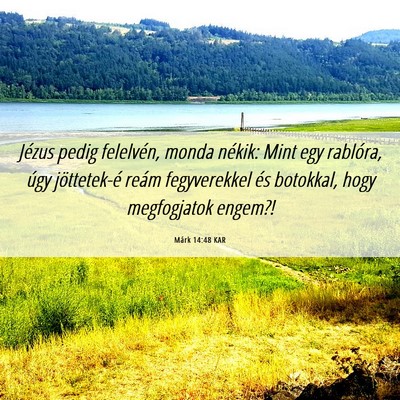 Picture 06 - Márk 14:48 KAR - Jézus pedig felelvén, monda nékik: Mint egy - Bible Verse Picture