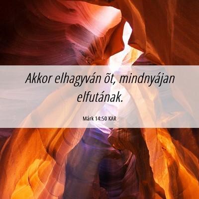 Picture 06 - Márk 14:50 KAR - Akkor elhagyván õt, mindnyájan - Bible Verse Picture