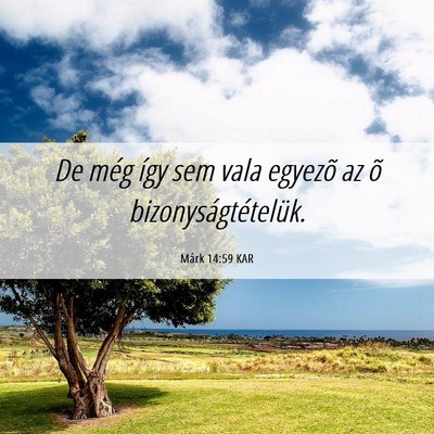 Picture 06 - Márk 14:59 KAR - De még így sem vala egyezõ az õ - Bible Verse Picture