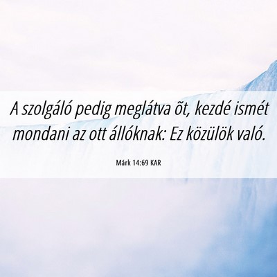Picture 06 - Márk 14:69 KAR - A szolgáló pedig meglátva õt, kezdé ismét - Bible Verse Picture