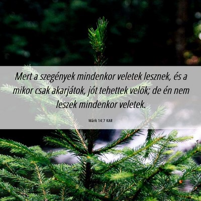 Picture 06 - Márk 14:7 KAR - Mert a szegények mindenkor veletek lesznek, és - Bible Verse Picture