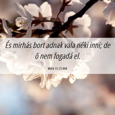 Picture 06 - Márk 15:23 KAR - És mirhás bort adnak vala néki inni; de õ nem - Bible Verse Picture