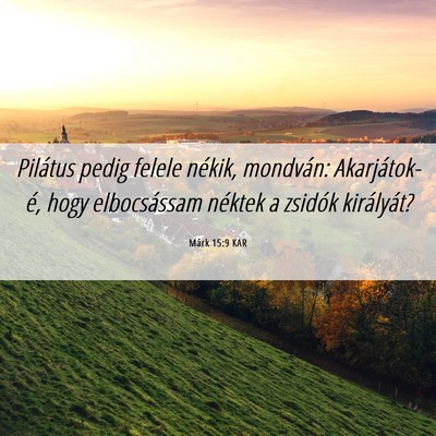 Picture 06 - Márk 15:9 KAR - Pilátus pedig felele nékik, mondván: - Bible Verse Picture