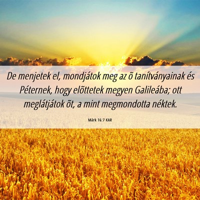Picture 06 - Márk 16:7 KAR - De menjetek el, mondjátok meg az õ - Bible Verse Picture