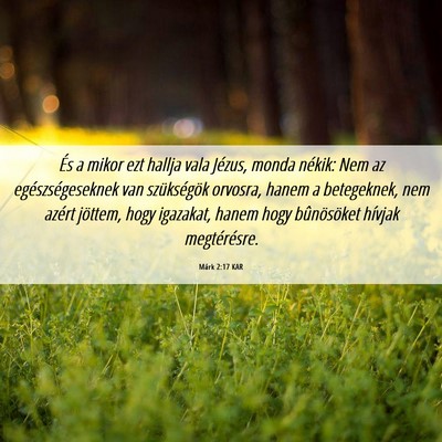 Picture 06 - Márk 2:17 KAR - És a mikor ezt hallja vala Jézus, monda nékik: - Bible Verse Picture