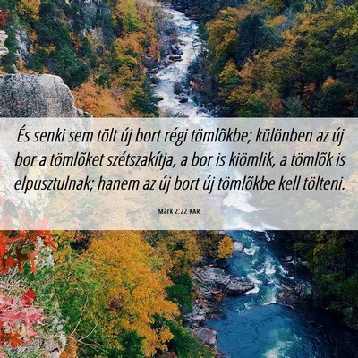 Picture 06 - Márk 2:22 KAR - És senki sem tölt új bort régi tömlõkbe; - Bible Verse Picture