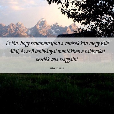 Picture 06 - Márk 2:23 KAR - És lõn, hogy szombatnapon a vetések közt megy - Bible Verse Picture