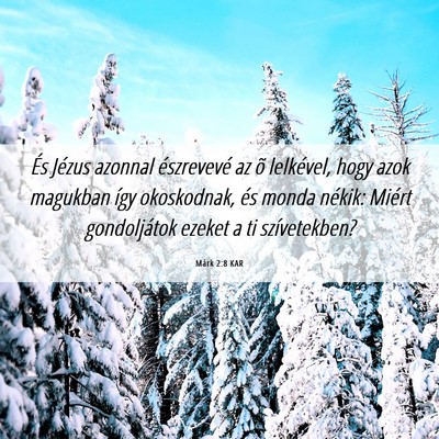 Picture 06 - Márk 2:8 KAR - És Jézus azonnal észrevevé az õ lelkével, - Bible Verse Picture