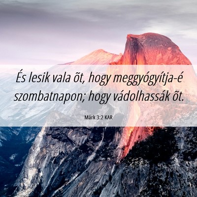 Picture 06 - Márk 3:2 KAR - És lesik vala õt, hogy meggyógyítja-é - Bible Verse Picture