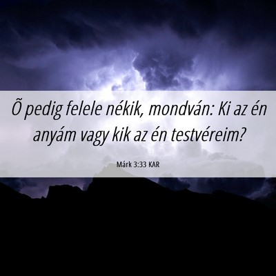 Picture 06 - Márk 3:33 KAR - Õ pedig felele nékik, mondván: Ki az én - Bible Verse Picture