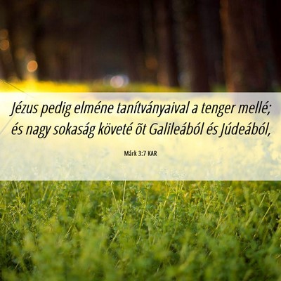 Picture 06 - Márk 3:7 KAR - Jézus pedig elméne tanítványaival a tenger - Bible Verse Picture