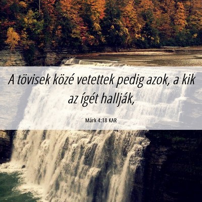 Picture 06 - Márk 4:18 KAR - A tövisek közé vetettek pedig azok, a kik az - Bible Verse Picture