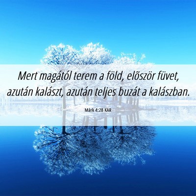 Picture 06 - Márk 4:28 KAR - Mert magától terem a föld, elõször füvet, - Bible Verse Picture