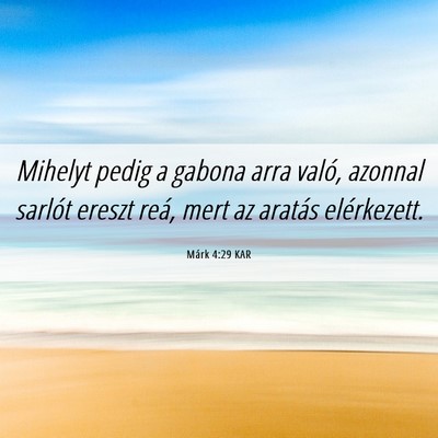 Picture 06 - Márk 4:29 KAR - Mihelyt pedig a gabona arra való, azonnal - Bible Verse Picture