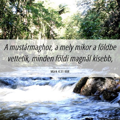 Picture 06 - Márk 4:31 KAR - A mustármaghoz, a mely mikor a földbe vettetik, - Bible Verse Picture