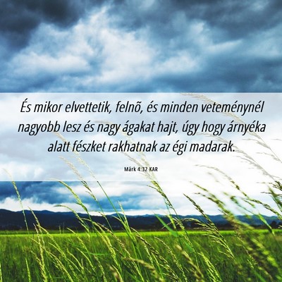 Picture 06 - Márk 4:32 KAR - És mikor elvettetik, felnõ, és minden - Bible Verse Picture