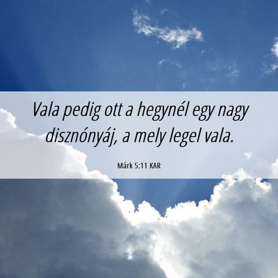 Picture 06 - Márk 5:11 KAR - Vala pedig ott a hegynél egy nagy disznónyáj, - Bible Verse Picture