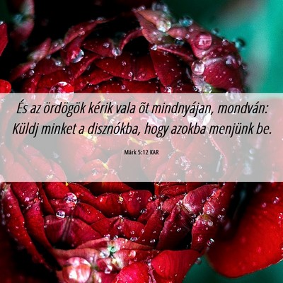 Picture 06 - Márk 5:12 KAR - És az ördögök kérik vala õt mindnyájan, - Bible Verse Picture