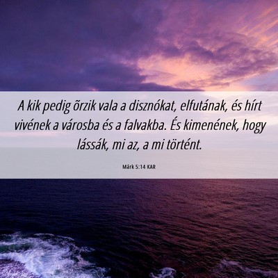 Picture 06 - Márk 5:14 KAR - A kik pedig õrzik vala a disznókat, elfutának, - Bible Verse Picture