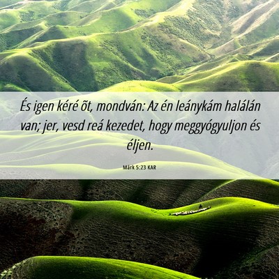 Picture 06 - Márk 5:23 KAR - És igen kéré õt, mondván: Az én leánykám - Bible Verse Picture