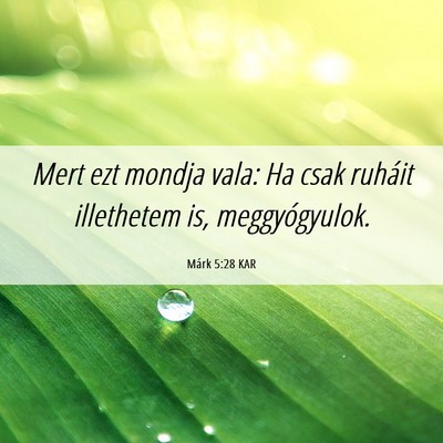 Picture 06 - Márk 5:28 KAR - Mert ezt mondja vala: Ha csak ruháit illethetem - Bible Verse Picture