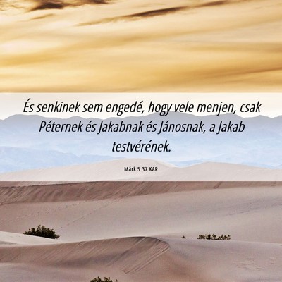 Picture 06 - Márk 5:37 KAR - És senkinek sem engedé, hogy vele menjen, csak - Bible Verse Picture