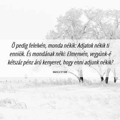 Picture 06 - Márk 6:37 KAR - Õ pedig felelvén, monda nékik: Adjatok nékik - Bible Verse Picture