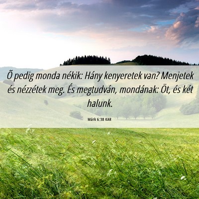 Picture 06 - Márk 6:38 KAR - Õ pedig monda nékik: Hány kenyeretek van? - Bible Verse Picture