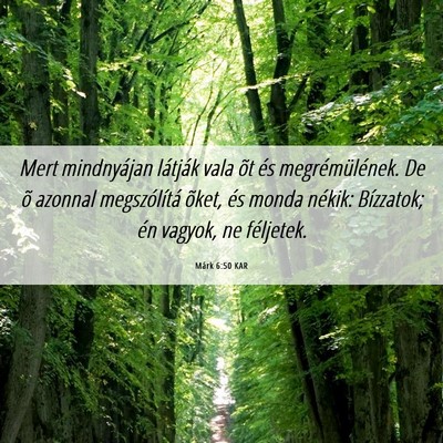 Picture 06 - Márk 6:50 KAR - Mert mindnyájan látják vala õt és - Bible Verse Picture