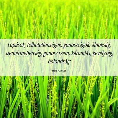 Picture 06 - Márk 7:22 KAR - Lopások, telhetetlenségek, gonoszságok, - Bible Verse Picture