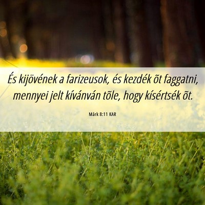 Picture 06 - Márk 8:11 KAR - És kijövének a farizeusok, és kezdék õt - Bible Verse Picture