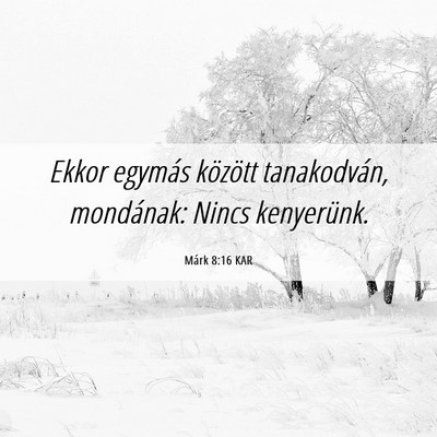 Picture 06 - Márk 8:16 KAR - Ekkor egymás között tanakodván, mondának: - Bible Verse Picture