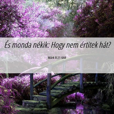 Picture 06 - Márk 8:21 KAR - És monda nékik: Hogy nem értitek - Bible Verse Picture