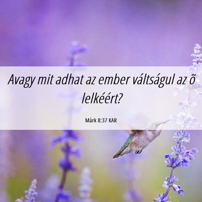 Picture 06 - Márk 8:37 KAR - Avagy mit adhat az ember váltságul az õ - Bible Verse Picture