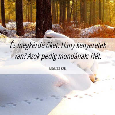 Picture 06 - Márk 8:5 KAR - És megkérdé õket: Hány kenyeretek van? Azok - Bible Verse Picture