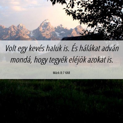 Picture 06 - Márk 8:7 KAR - Volt egy kevés haluk is. És hálákat adván - Bible Verse Picture