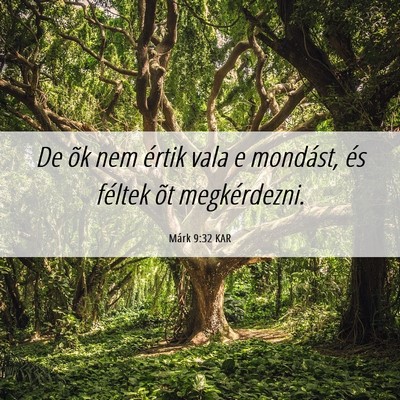 Picture 06 - Márk 9:32 KAR - De õk nem értik vala e mondást, és féltek - Bible Verse Picture