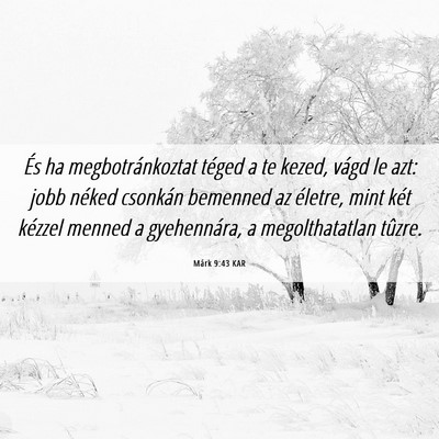 Picture 06 - Márk 9:43 KAR - És ha megbotránkoztat téged a te kezed, vágd - Bible Verse Picture