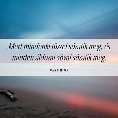Picture 06 - Márk 9:49 KAR - Mert mindenki tûzzel sózatik meg, és minden - Bible Verse Picture