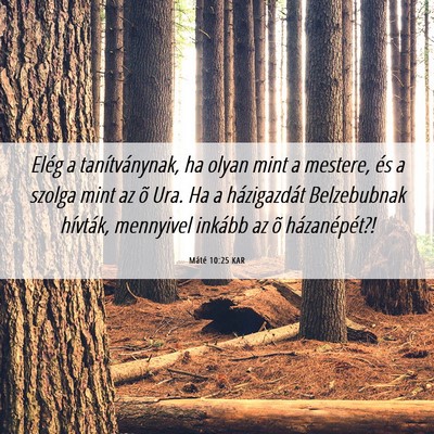Picture 06 - Máté 10:25 KAR - Elég a tanítványnak, ha olyan mint a mestere, - Bible Verse Picture