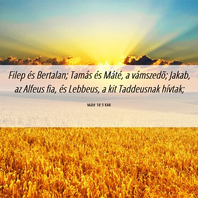 Picture 06 - Máté 10:3 KAR - Filep és Bertalan; Tamás és Máté, a - Bible Verse Picture