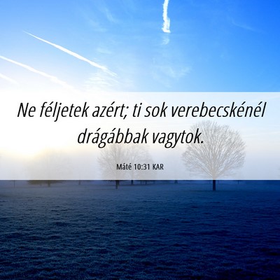 Picture 06 - Máté 10:31 KAR - Ne féljetek azért; ti sok verebecskénél - Bible Verse Picture