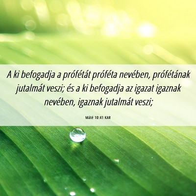 Picture 06 - Máté 10:41 KAR - A ki befogadja a prófétát próféta nevében, - Bible Verse Picture