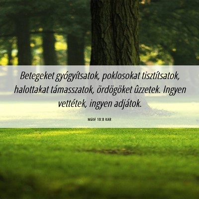 Picture 06 - Máté 10:8 KAR - Betegeket gyógyítsatok, poklosokat - Bible Verse Picture