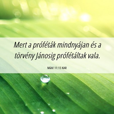 Picture 06 - Máté 11:13 KAR - Mert a próféták mindnyájan és a törvény - Bible Verse Picture