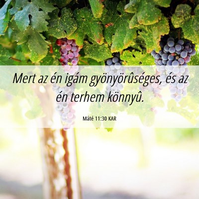 Picture 06 - Máté 11:30 KAR - Mert az én igám gyönyörûséges, és az én - Bible Verse Picture