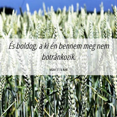 Picture 06 - Máté 11:6 KAR - És boldog, a ki én bennem meg nem - Bible Verse Picture