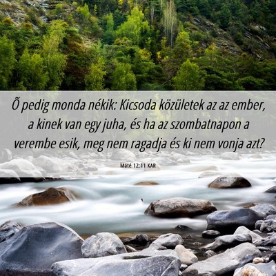Picture 06 - Máté 12:11 KAR - Õ pedig monda nékik: Kicsoda közületek az az - Bible Verse Picture